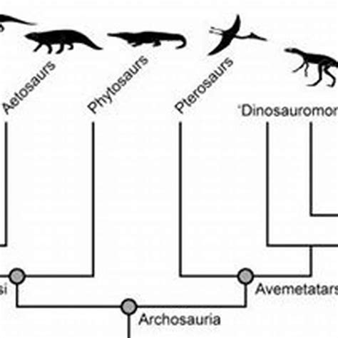 considered  archosaur diy seattle