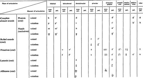 The Consonants In Russian The Phonetic Positions Of Consonants The