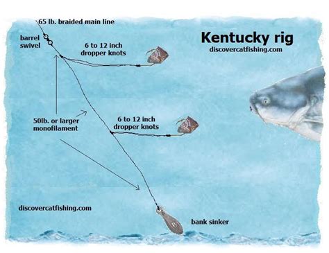 Best Catfish Rig How To Tie Your Dropper Knots For Your Hooks