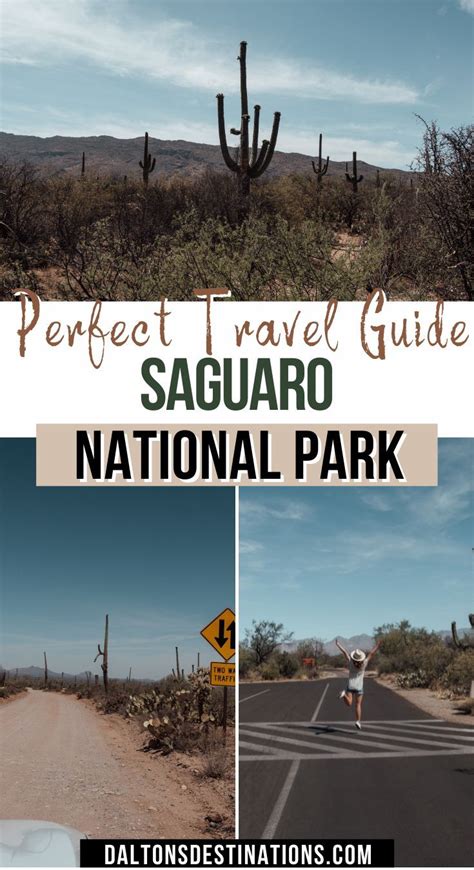 Saguaro National Park Travel Guide National Parks Trip National