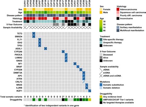 Genomic Alterations Identified In 23 Patients With Cancer Of Unknown Download Scientific