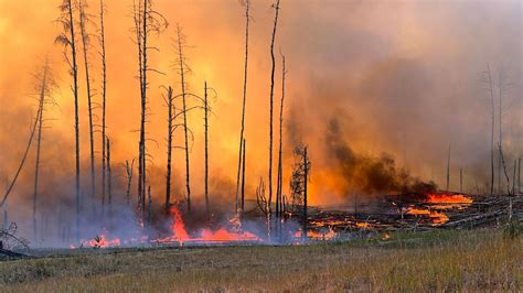 Erderwärmung und Trockenheit Klimaforscher Latif sieht im Ausmaß der