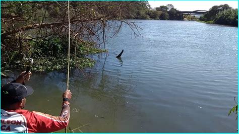 FUI PESCA ROBALO SÓ CAIU ACARA YouTube