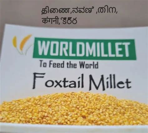 Thinai Rice Foxtail Millet Yellow Millet Semi Polished South Indian