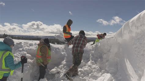 Local nonprofit, MDT make way for bison migration near Yellowstone