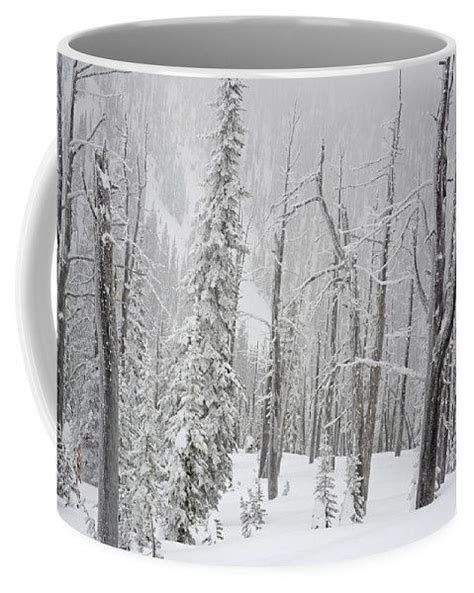 Alpine Winter Coffee Mug By Whispering Peaks Photography Coffee Mugs