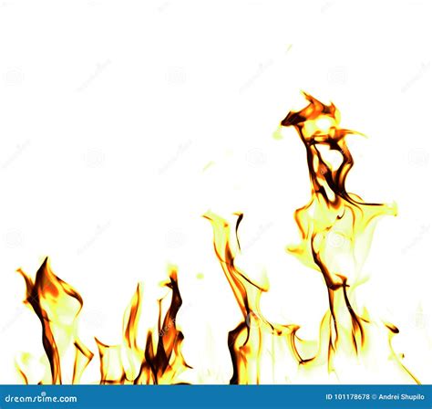 Fire Flames on a White Background Stock Photo - Image of campfire ...