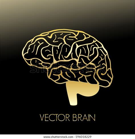 Illustration Human Brain Vector Graphic Stock Vector (Royalty Free ... 