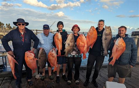 Used Fishing Charter And Marine Tourism Opportunity In Shark Bay For