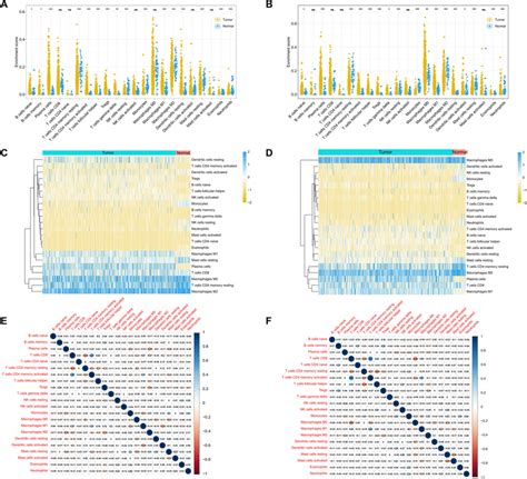 Evaluation Of The Proportions Of 22 Tumor Infiltrating Immune Cells In Download Scientific