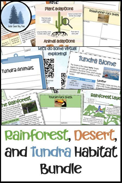 Rainforest Desert And Tundra Habitat Learning And Research Bundle