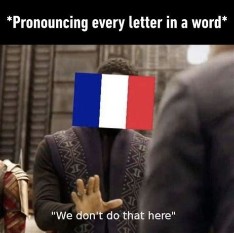 Pin By Anelyse On Language Learning Funny French French Meme Language Memes