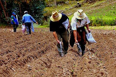 Políticas para los pequeños y medianos agricultores Conexión ESAN