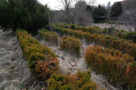 Le Parc Le Ch Teau De Lesches