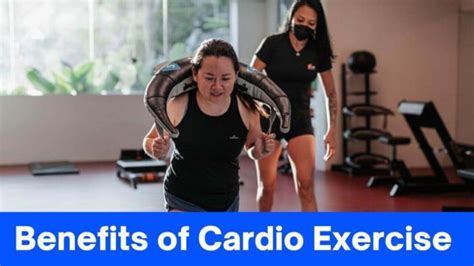 7 Astonishing Benefits Of Cardio Exercise: Beyond The Beat » 2024