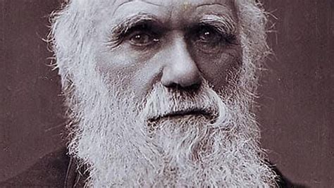 11 Charming Facts About Charles Darwin - Fact City