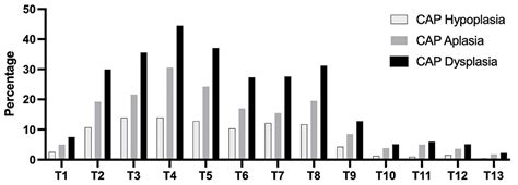 Frontiers Investigation Of Canine Caudal Articular Process Dysplasia