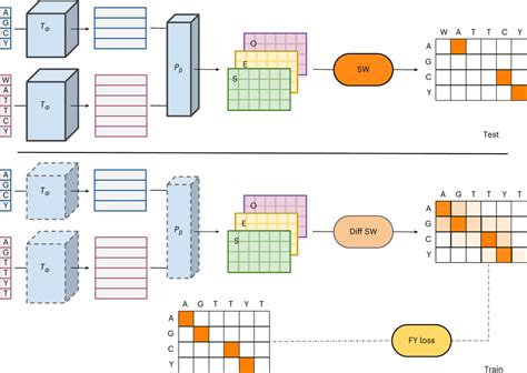 Overview Of Dedal Top At The Test Time Dedal Aligns Two Sequences X