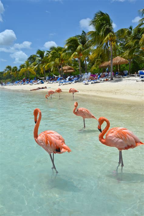 Know Your Caribbean ABC Islands: Aruba, Bonaire and Curacao | Places to ...