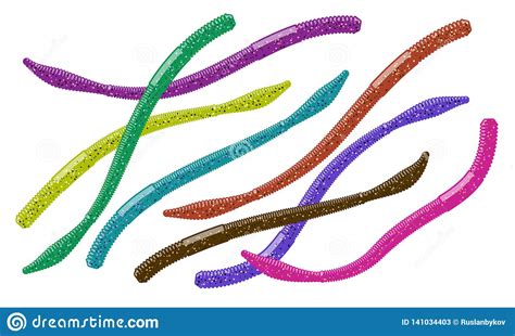 Color Varieties of Soft Plastic Worm Baits. Stock Vector - Illustration of presentation ...