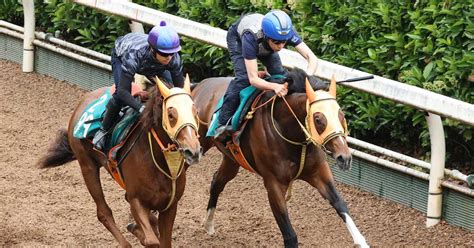 【今週の注目新馬】アトロルーベンスは重賞2勝サトノアーサーの半弟 サンスポzbat