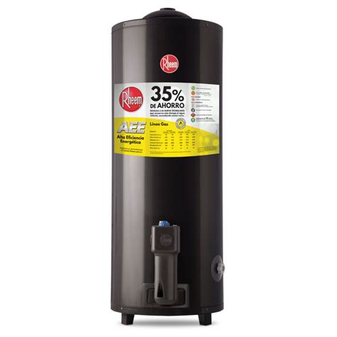 Termotanque A Gas Rheem TGNP150RH 150LT