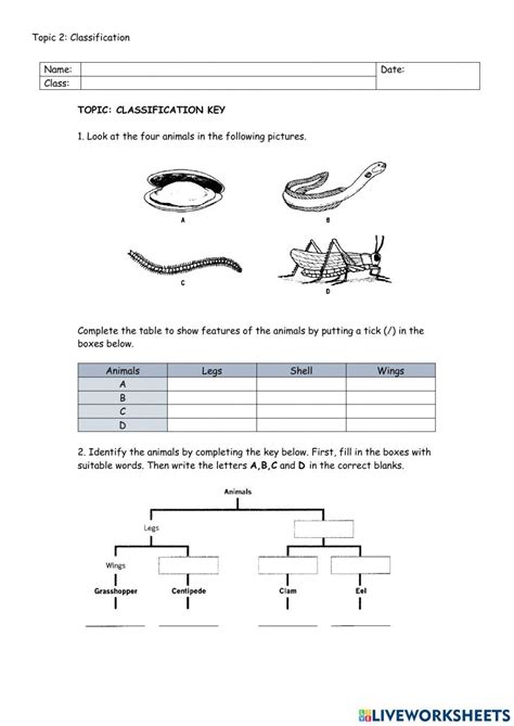 Practice Worksheet On Taxonomy And Classification Worksheets Library