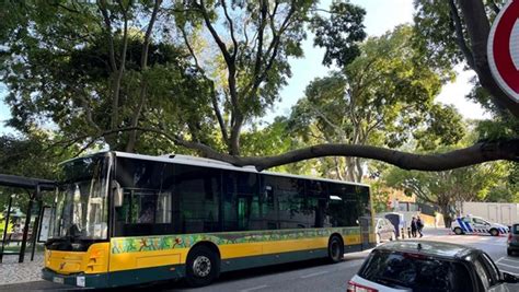 Carris Metropolitana Autocarros El Tricos Na Margem Norte Do