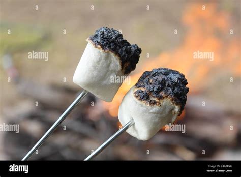 Toasting Marshmallows Fire Hi Res Stock Photography And Images Alamy