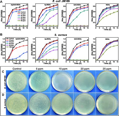 Growth Curves Of E Coli A And S Aureus B In Lb Liquid Medium In