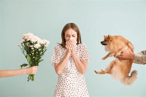 Allergien Wenn der Körper überreagiert Clinica Port d Andratx