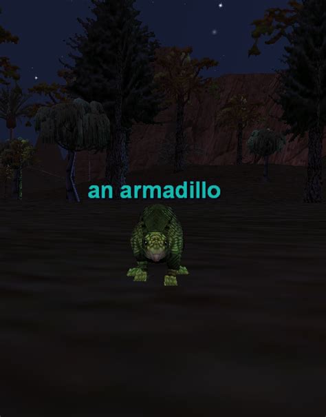 An Armadillo - Project 1999 Wiki