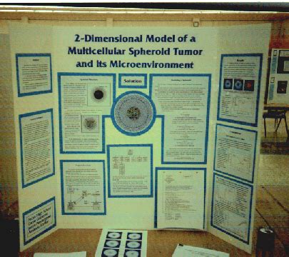 Science Fair Poster Board Layout