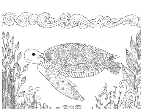 Coloriage Tortue Mandala Facile