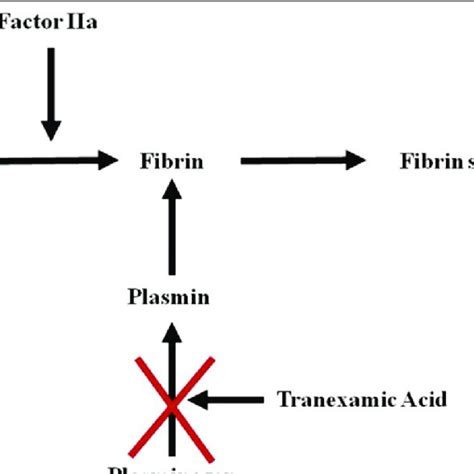 Tranexamic Acid Bnfc