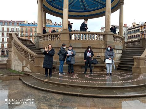 Lectura Manifiesto M Concentraci N Cermin En Plaza Del Castillo