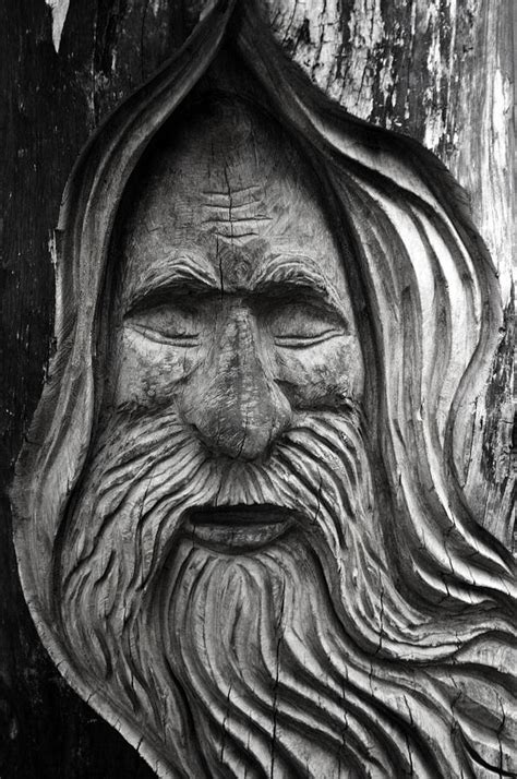 Wizard Photograph By Jez C Self Fine Art America