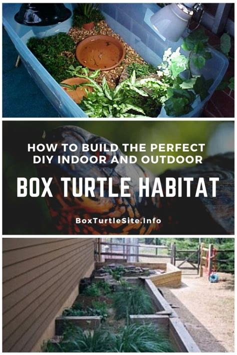 Diy Box Turtle Habitat Indoor And Outdoor Turtle Habitat Box