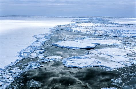 Scientists have found the world's largest fish breeding site - Earth.com