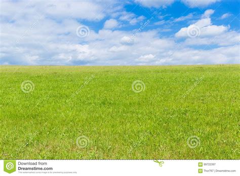 Campo Verde Y Cielo Azul Con Las Nubes Ligeras Imagen De Archivo