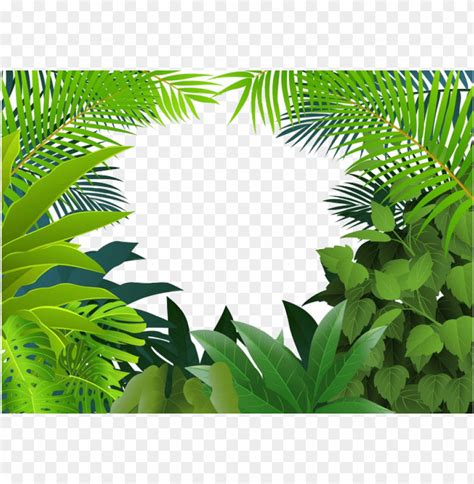 137 Png Background Jungle For FREE MyWeb