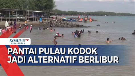 Pantai Pulau Kodok Di Kota Tegal Ramai Dipadati Wisatawan Kompas Tv