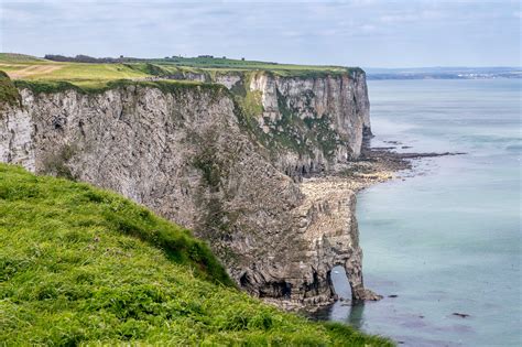 Bempton Cliffs - Andrews Walks