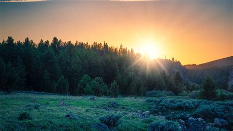 Download wallpaper 3840x2160 sunrise, forest, mountains, landscape ...