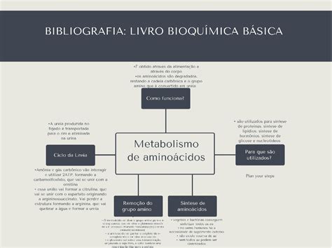 Mapa Mental Sobre Metabolismo De Aminoácidos Bioquímica Básica