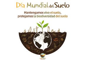 D A Mundial Del Suelo De Diciembre