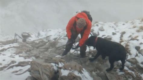 Zabrali psa na Giewont żeby go tam wyrzucić Historia która mrozi