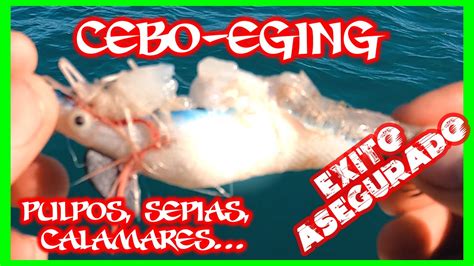 Pesca De Sepias Con Cebo SeÑuelo Pajarito Y Caña🦑 Truco Para Pesca De