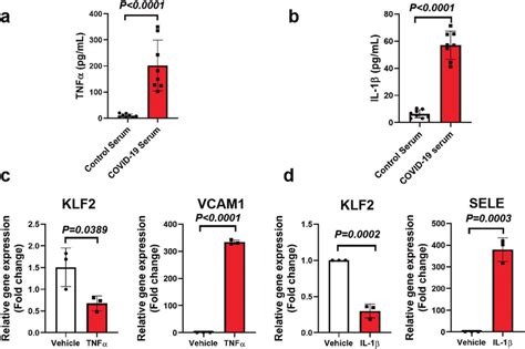 KLF2 is downregulated by components of cytokine storm TNF α and IL 1β