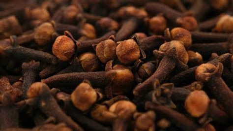 Benefits Of Cloves Sexually Other Top Benefits Of Cloves